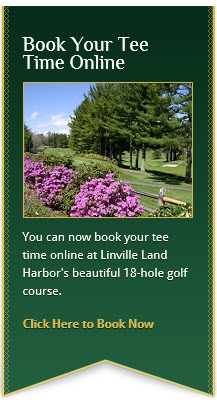Image: Online Tee Times